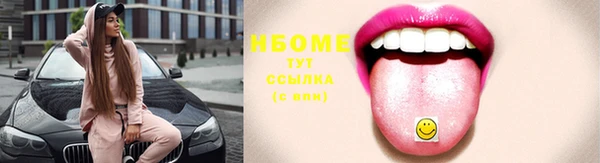 spice Богородск