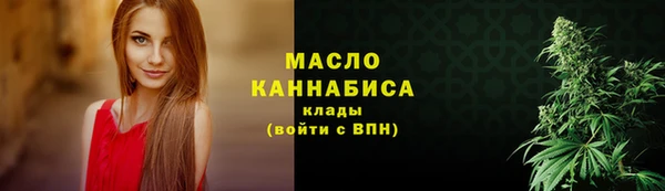 spice Богородск