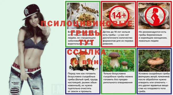 экстази Богданович