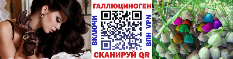 дарк нет клад  Улан-Удэ  Псилоцибиновые грибы Psilocybine cubensis  кракен ССЫЛКА 