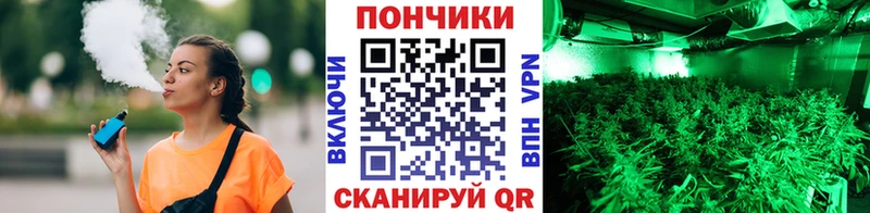 дарнет шоп  дарк нет телеграм  Бошки Шишки конопля  Улан-Удэ 